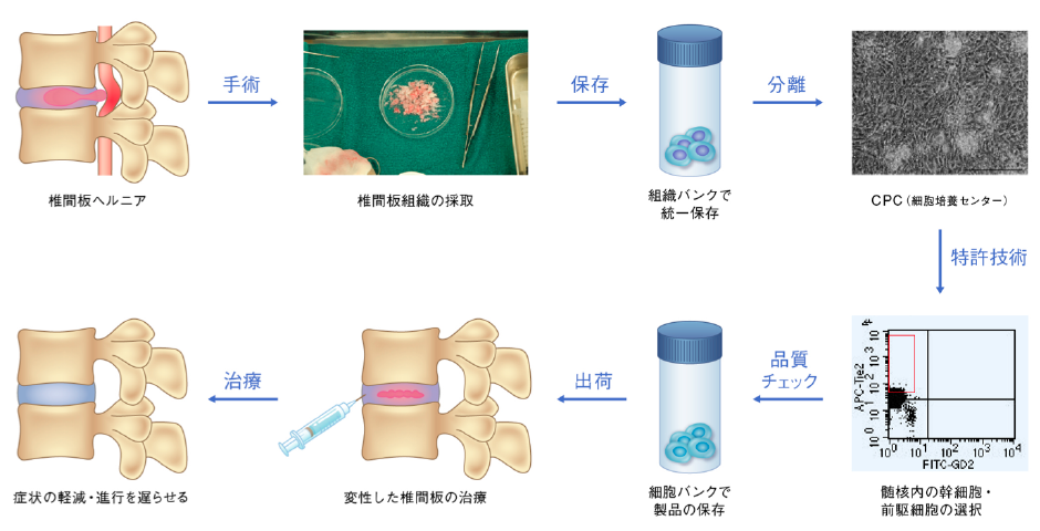製品開発のフロー